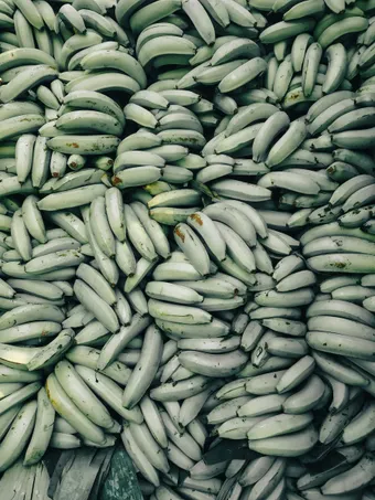 A heap of green plantain.