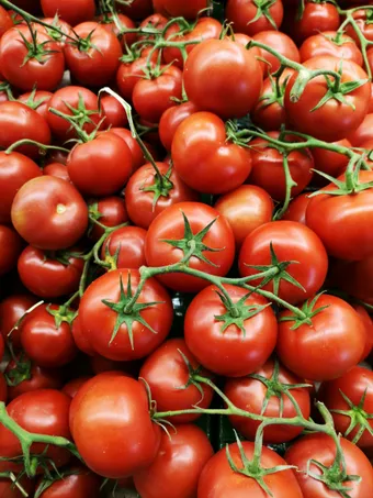 A pile of ripe tomatoes on the vine.